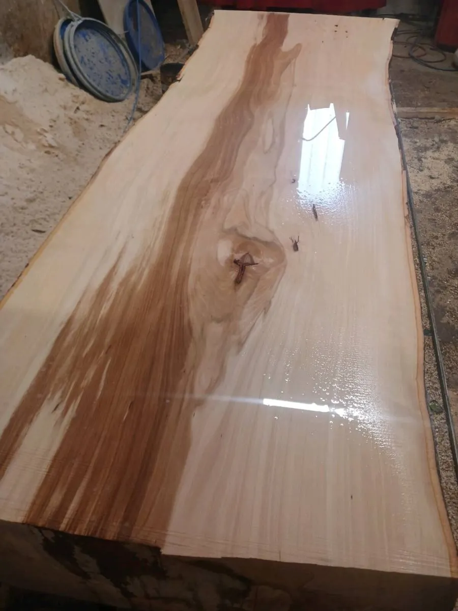Live edge oak beach monkey puzzle  slabs kiln drie - Image 2