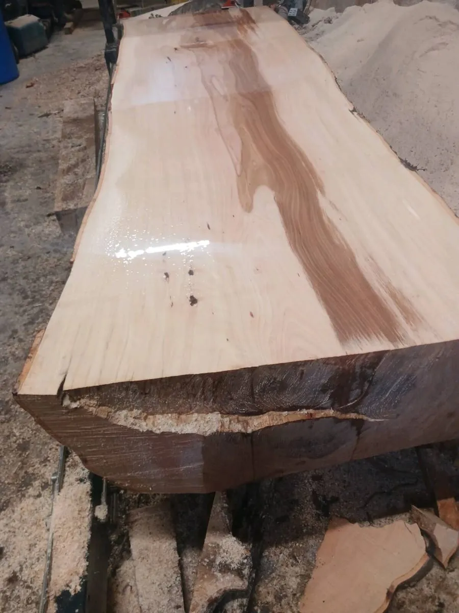 Live edge oak beach monkey puzzle  slabs kiln drie - Image 3