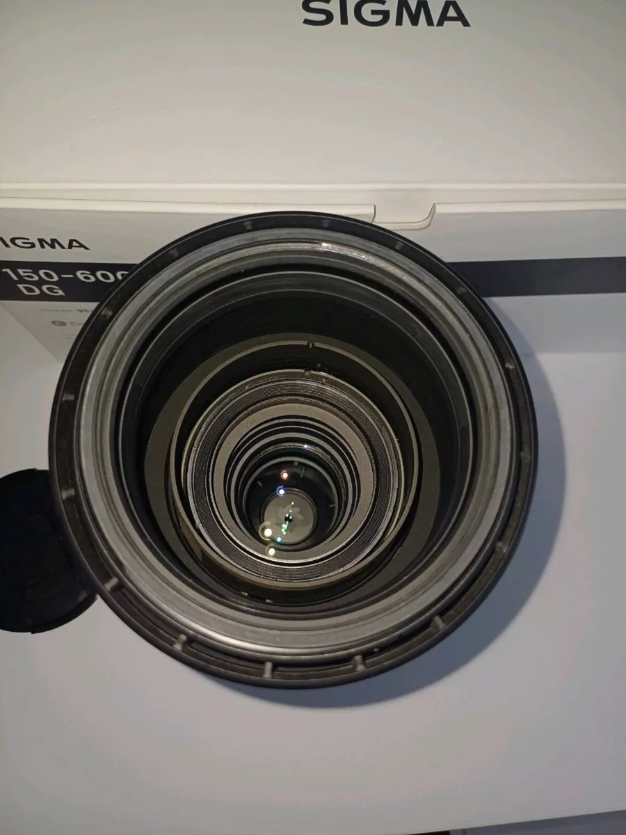 Nikon D7100 + Sigma 150-600mm + 4 Lenses + Flash - Image 3