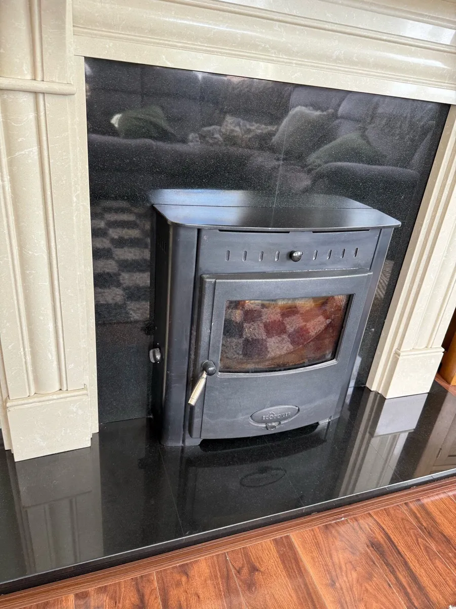Solid fuel insert Stove with Back Boiler - Image 2