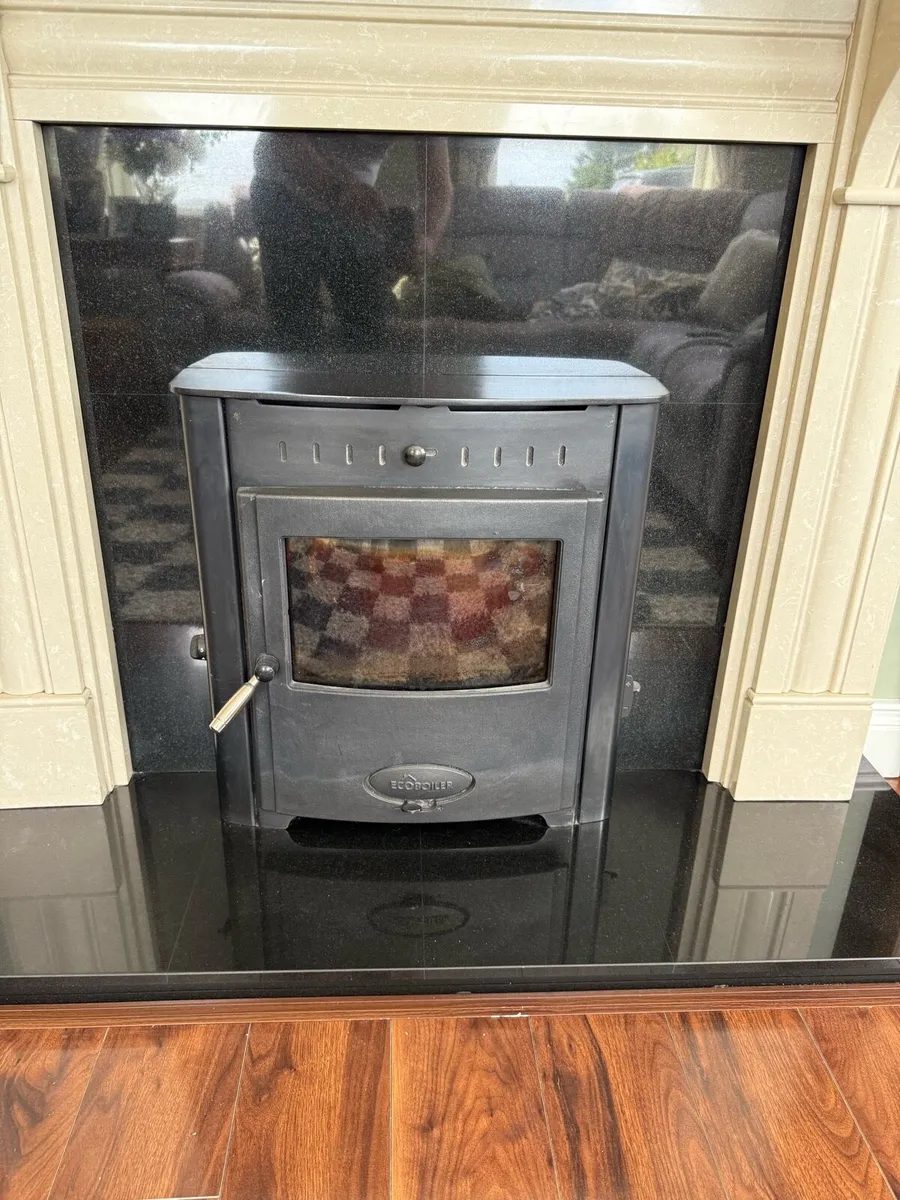 Solid fuel insert Stove with Back Boiler - Image 1