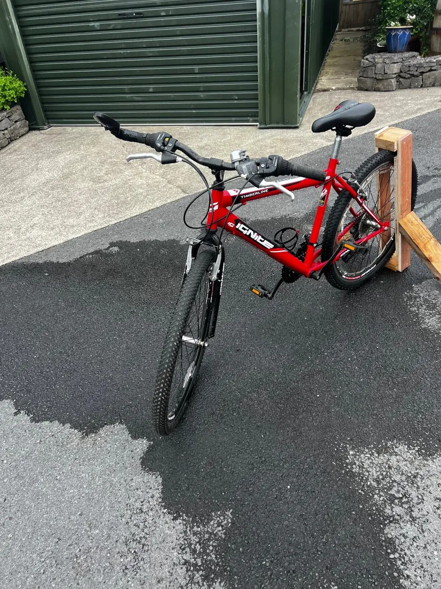 Bike - Image 4