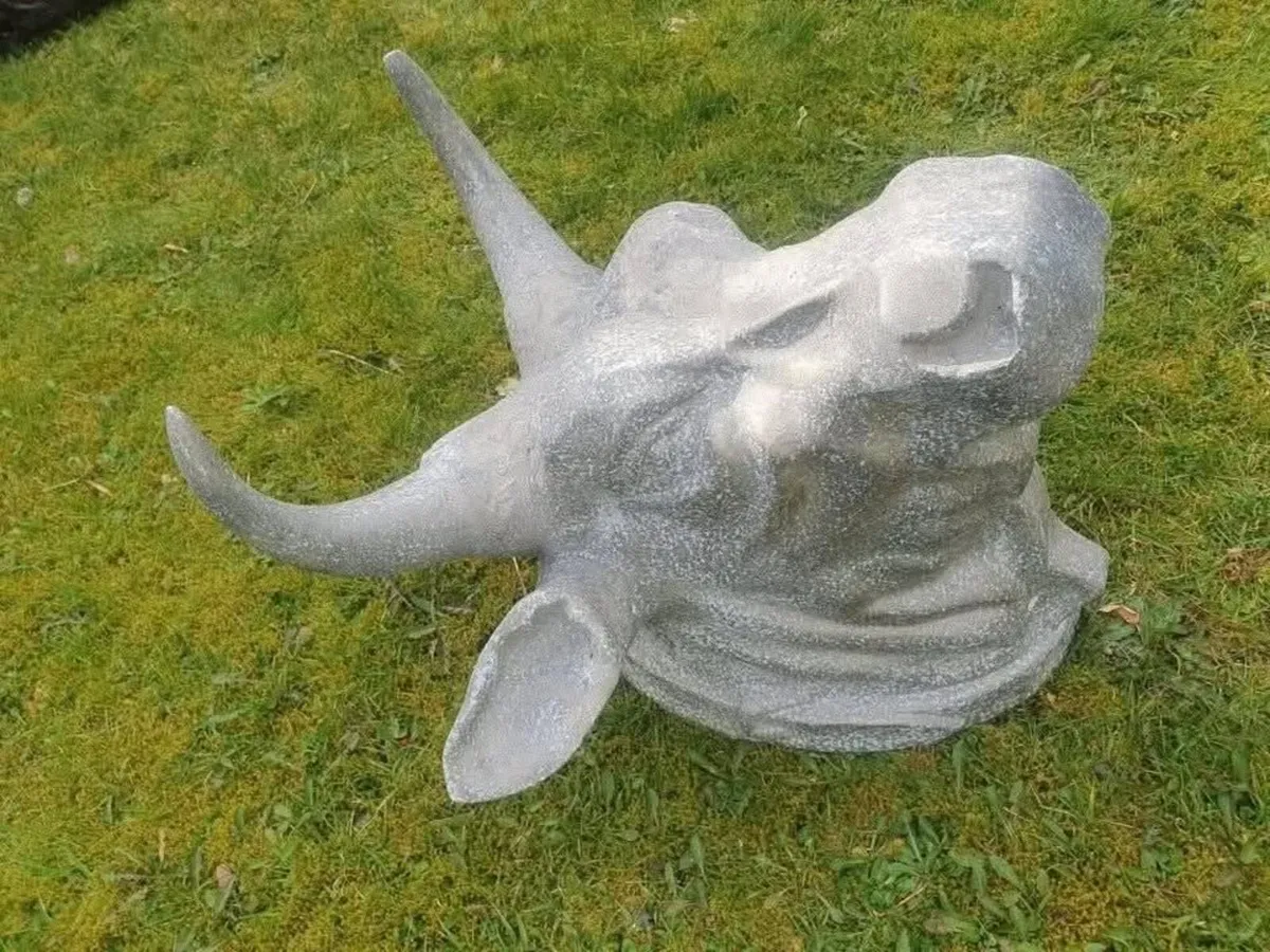 Bulls head - Shop decor- Butcher - Image 3