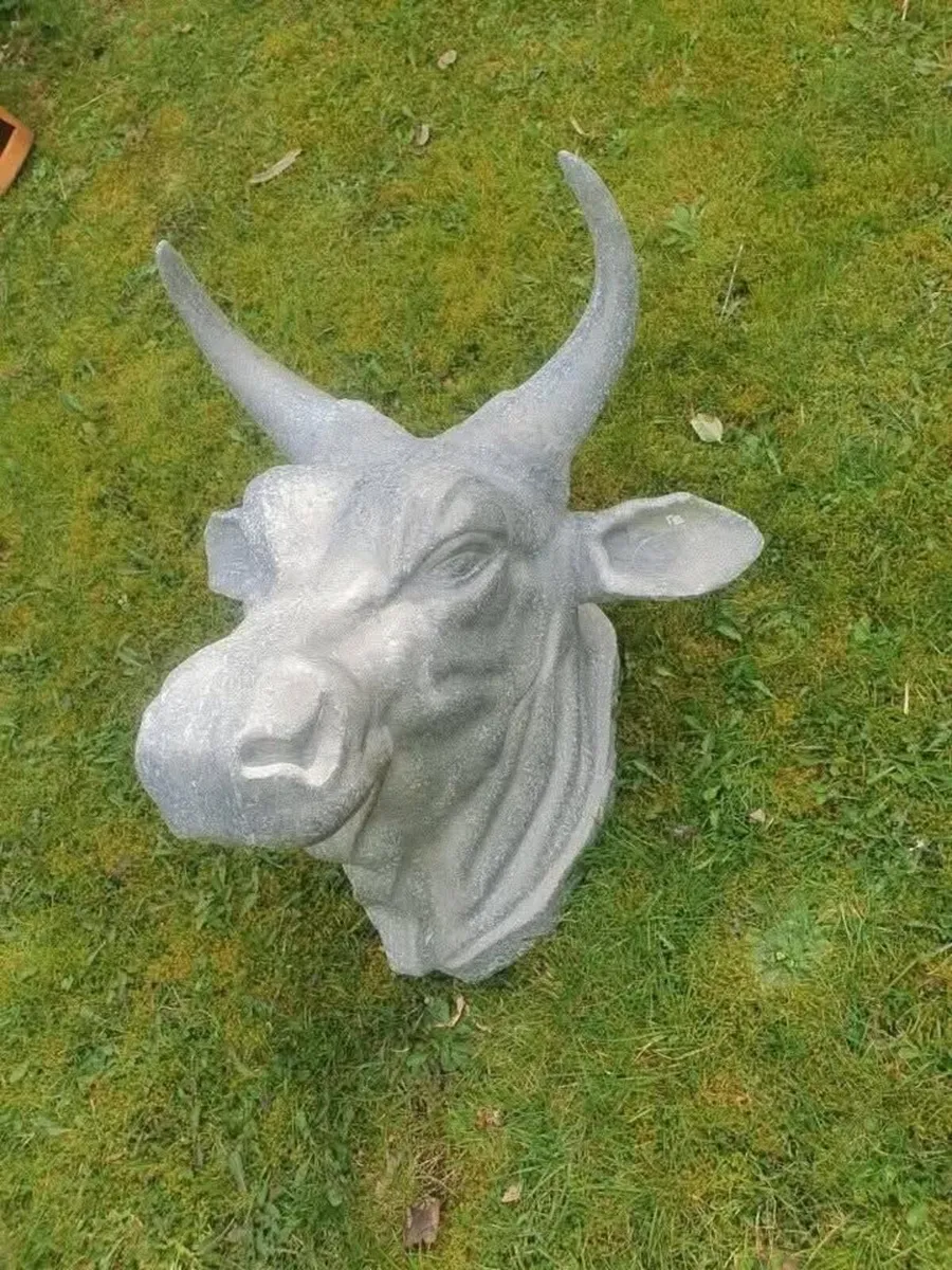 Bulls head - Shop decor- Butcher - Image 1
