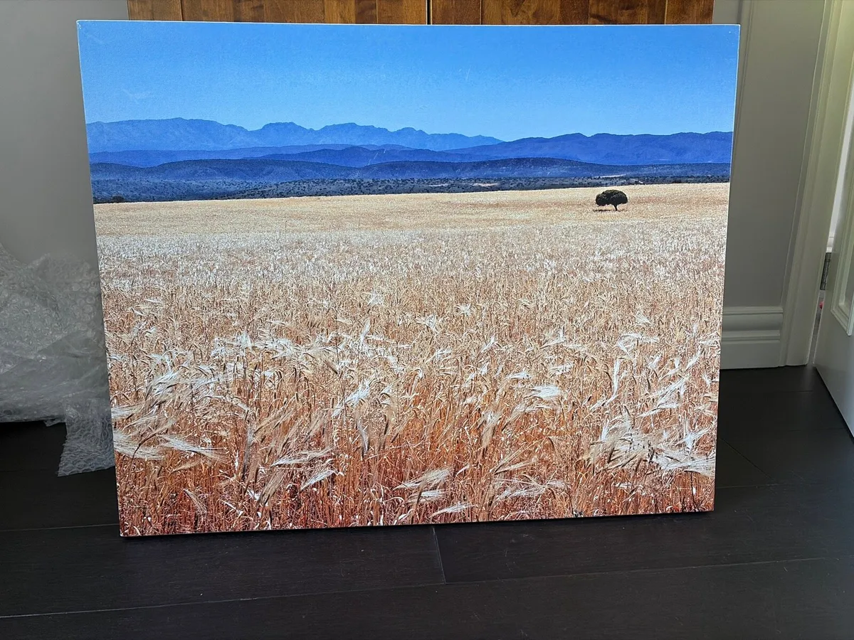 Large canvas art piece 100cm x 90cm - Image 1