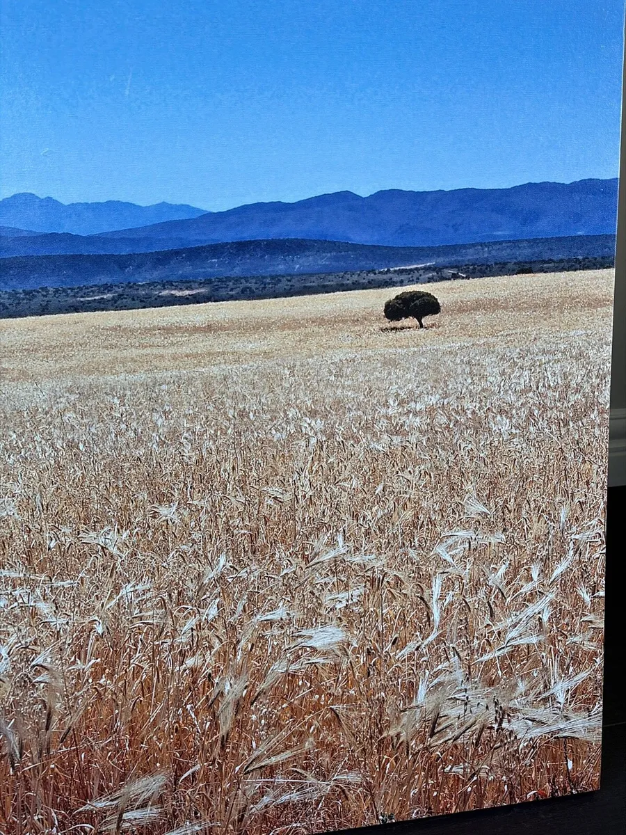 Large canvas art piece 100cm x 90cm - Image 2