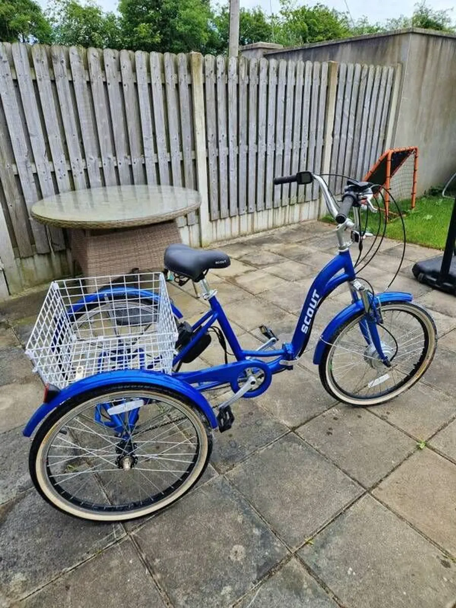 Adult Tricycle - Image 1