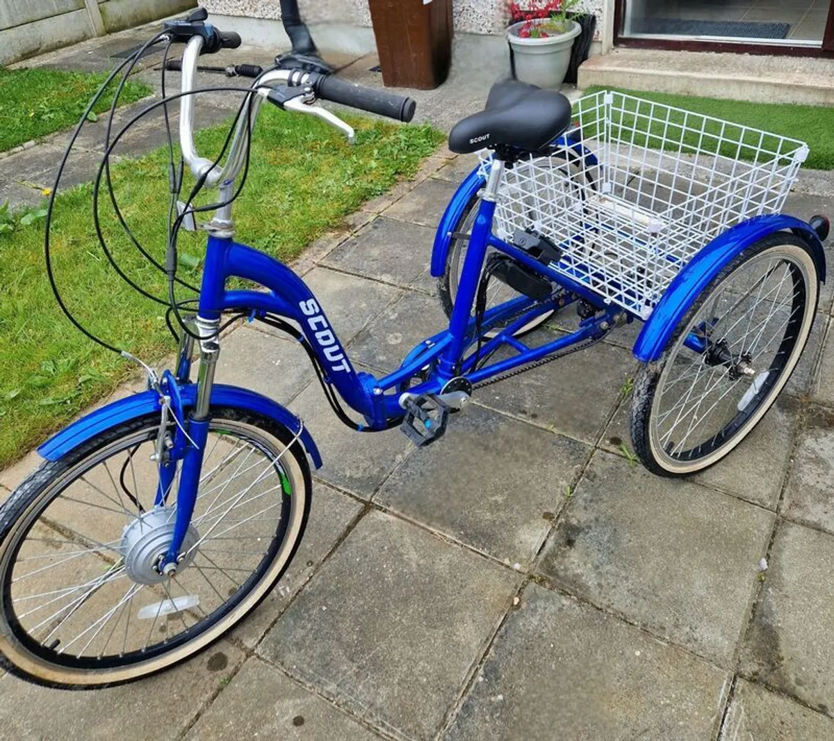 Adult Tricycle - Image 3