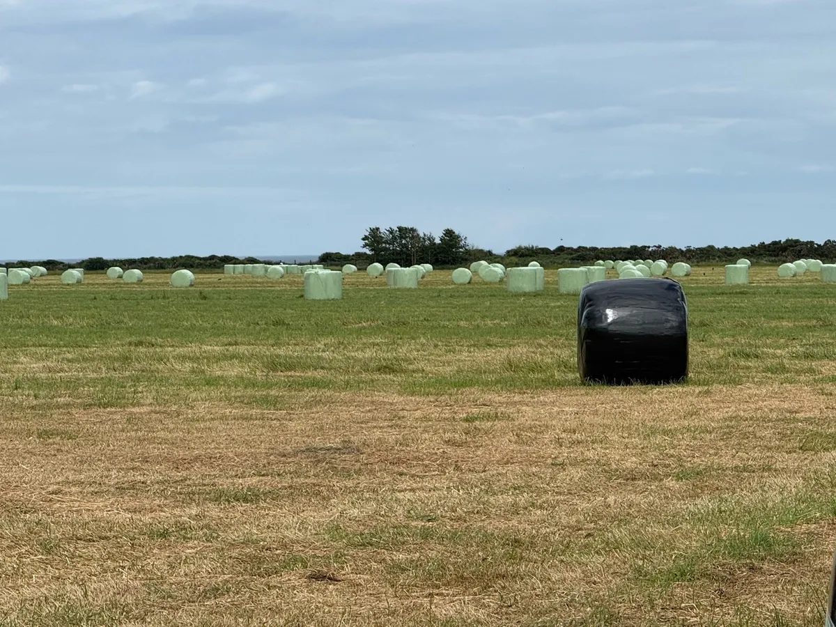 Silage bales first cut (400) - Image 3