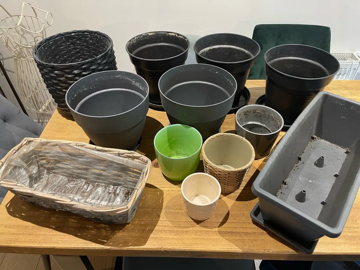 Plant pots