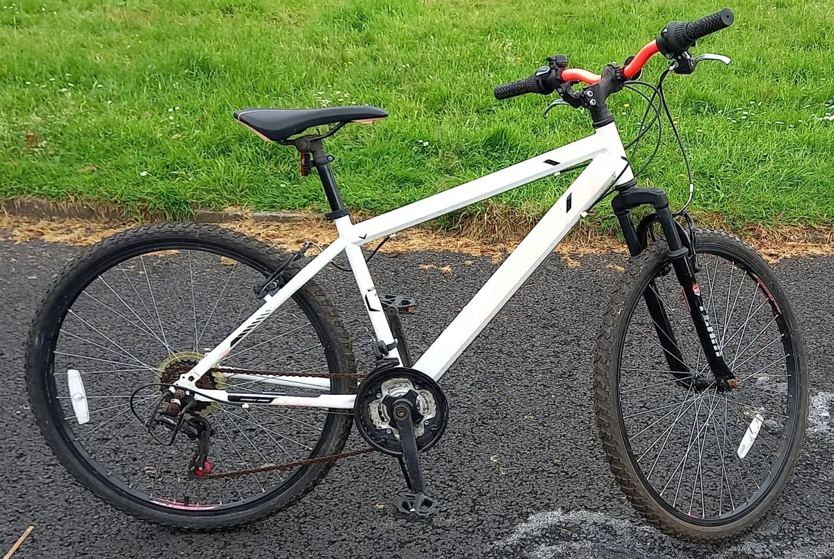 Teenagers/adult mountain bike - Image 1