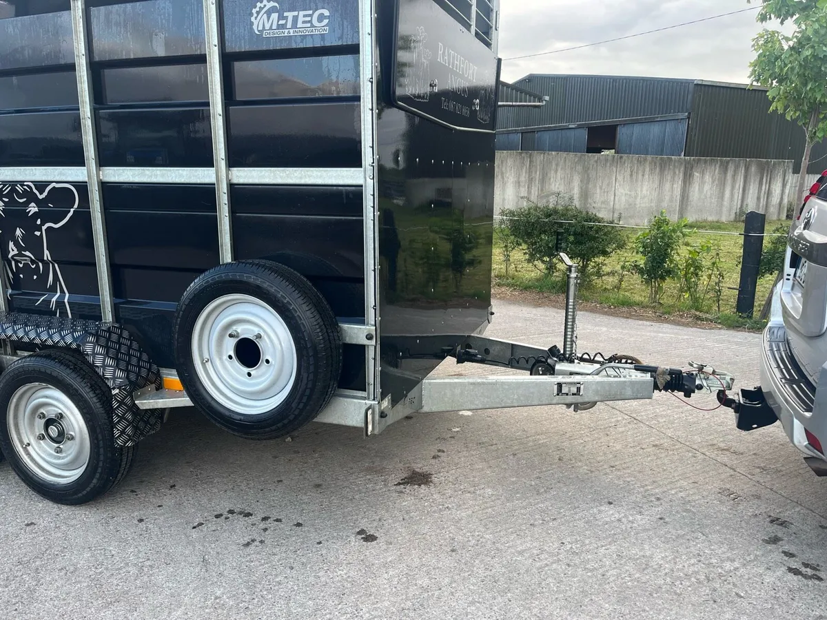 12ft m tec cattle box - Image 2
