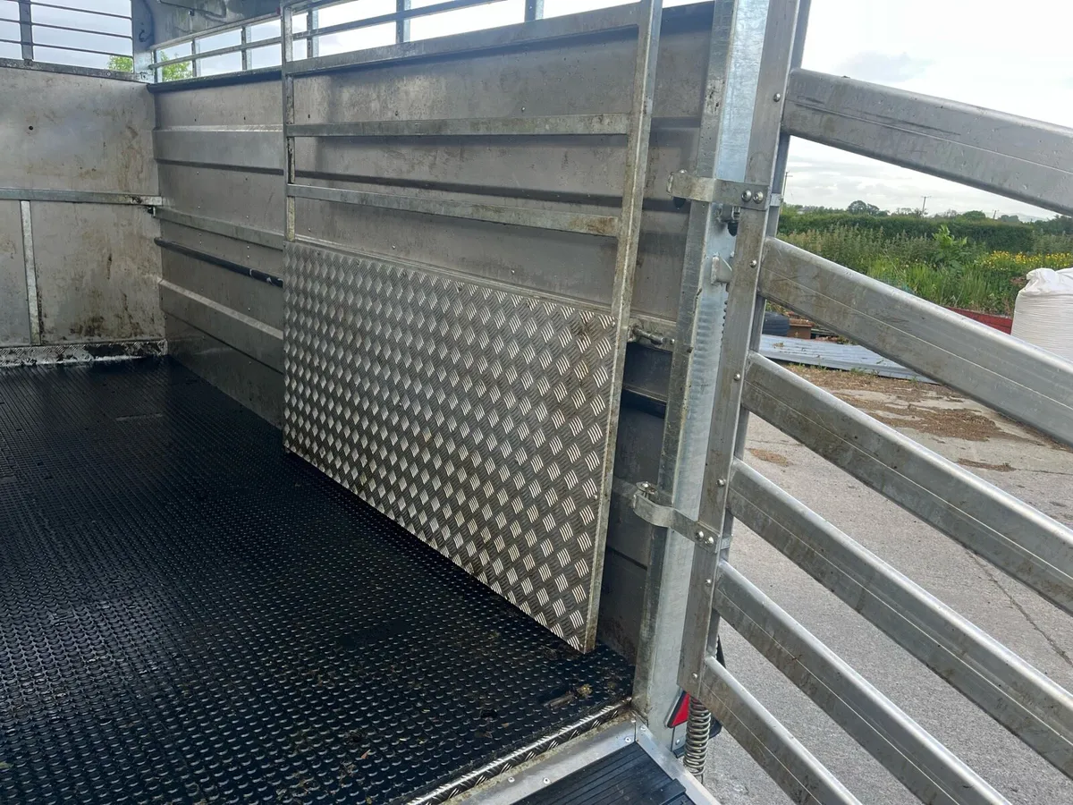 12ft m tec cattle box - Image 4