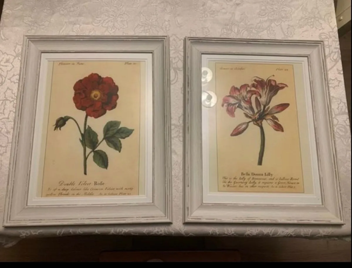 Framed Floral Prints - Image 1