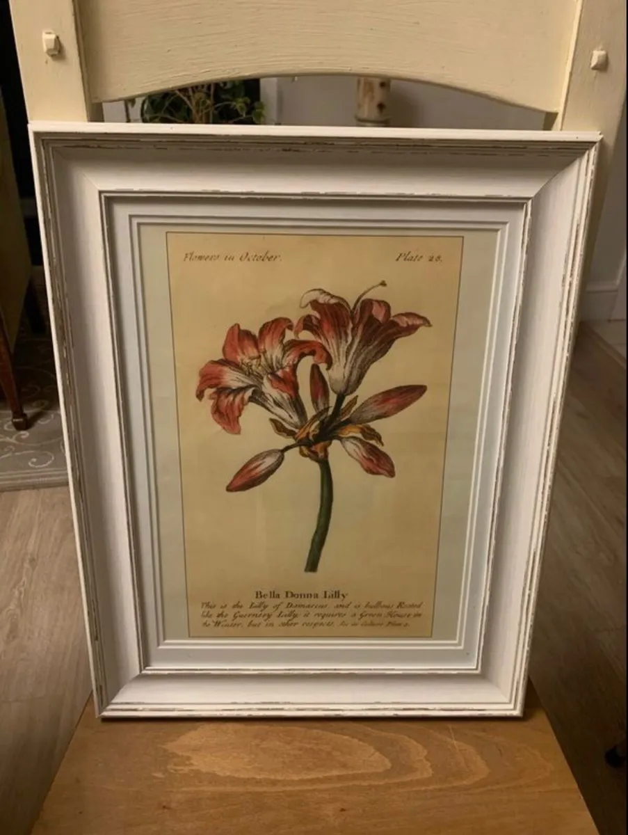 Framed Floral Prints - Image 2