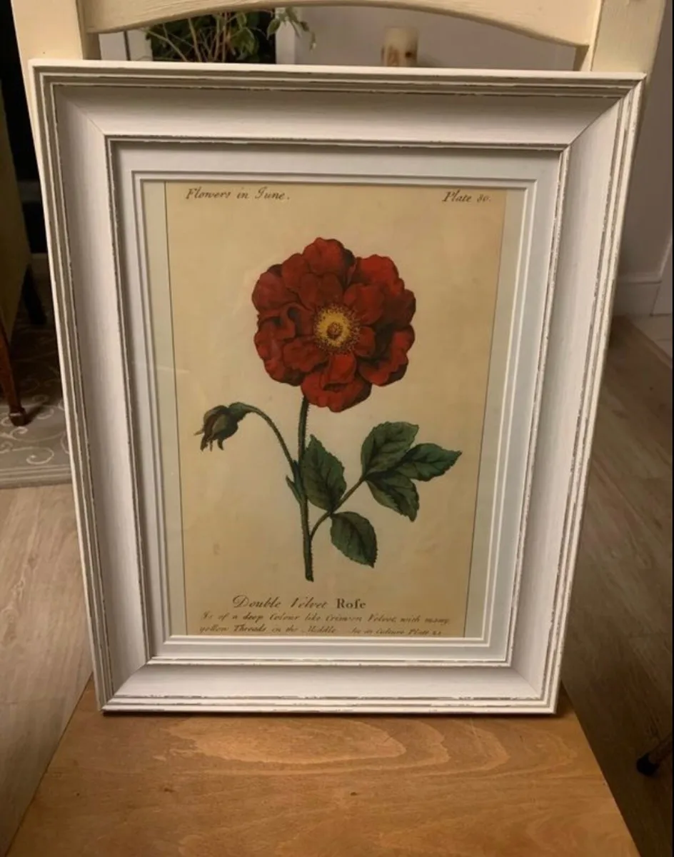 Framed Floral Prints - Image 3