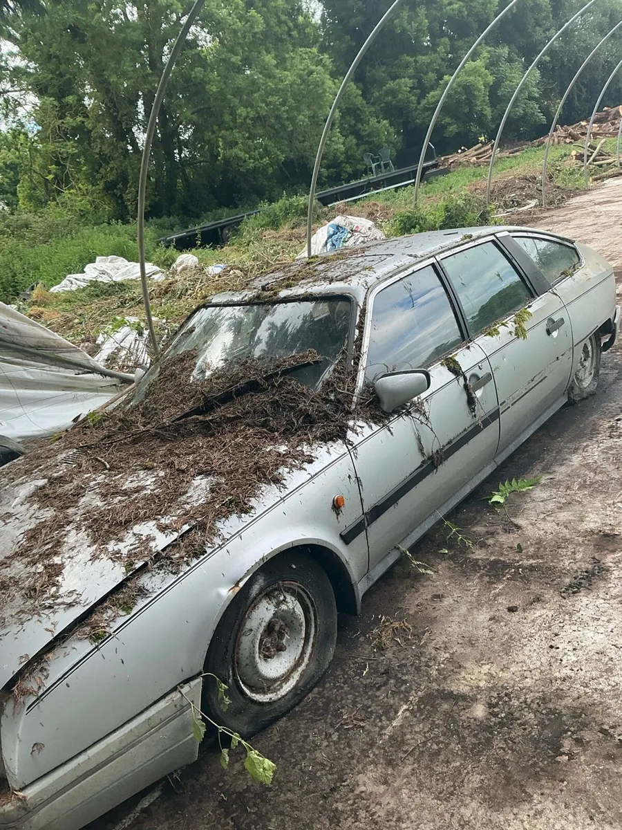 Citroen - Image 4