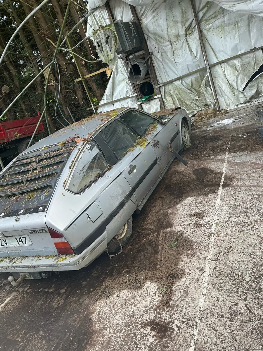 Citroen - Image 2