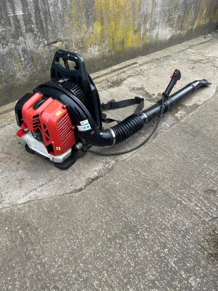 Petrol Leaf-blower - Image 1