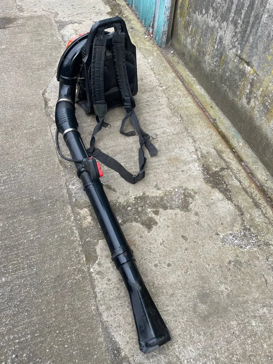 Petrol Leaf-blower - Image 3