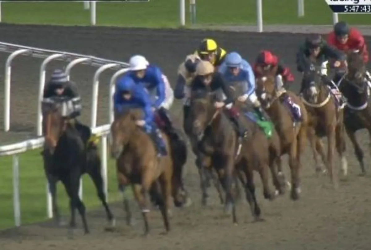 RACE HORSE - Image 1