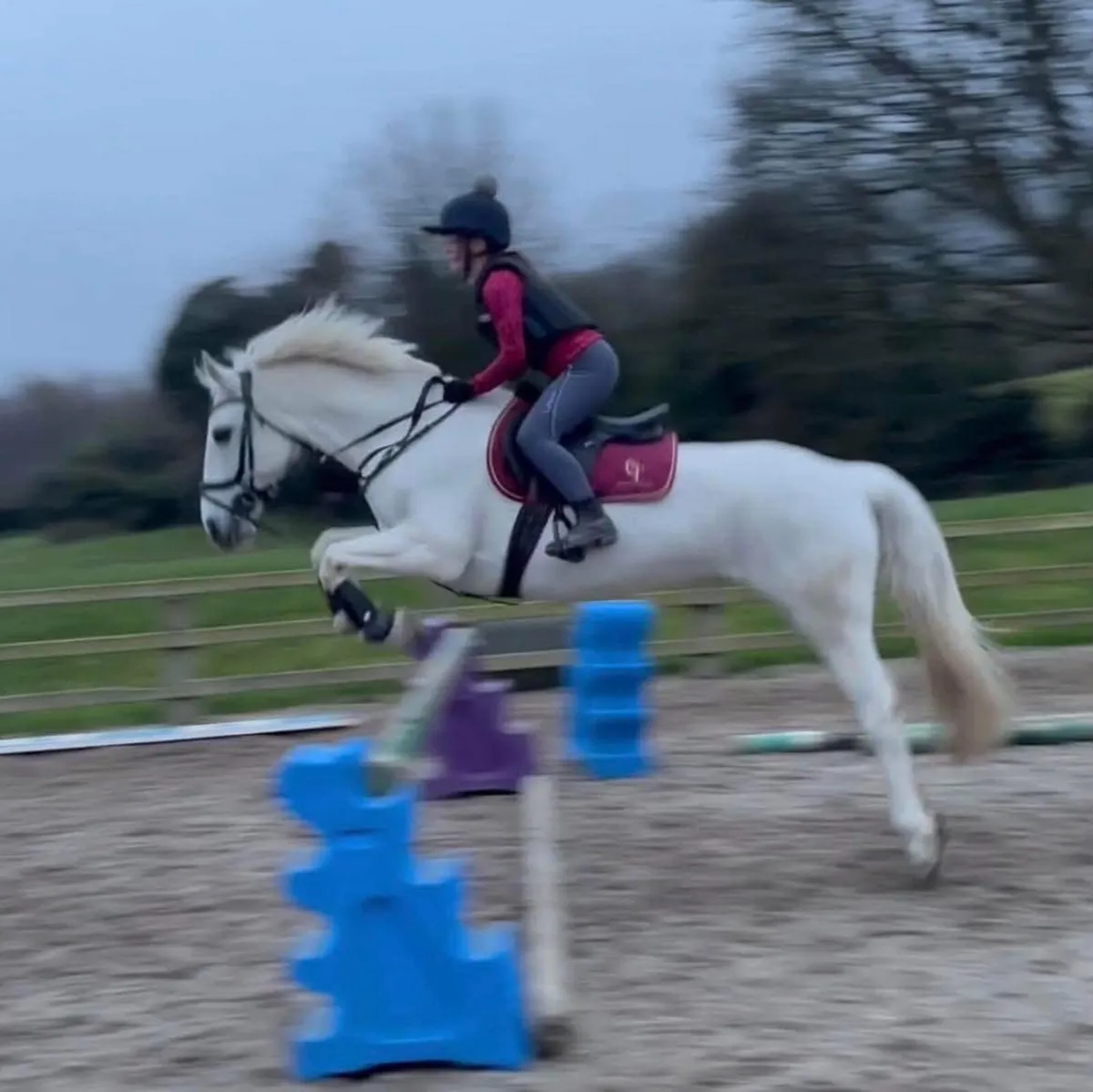 Top schoolmaster - Image 1