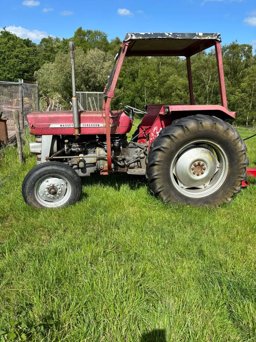 135 Massey Ferguson - Image 2