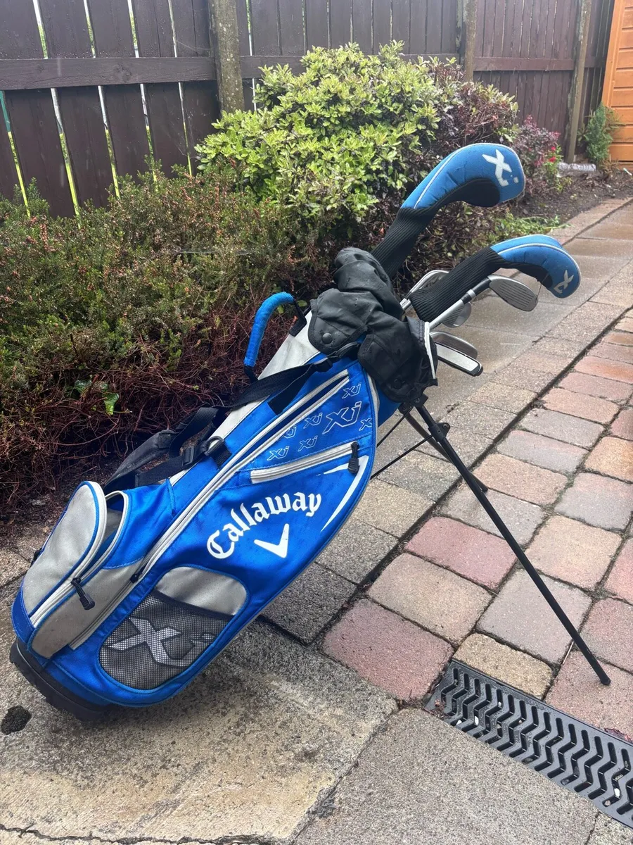 Junior Golf Clubs - Image 3