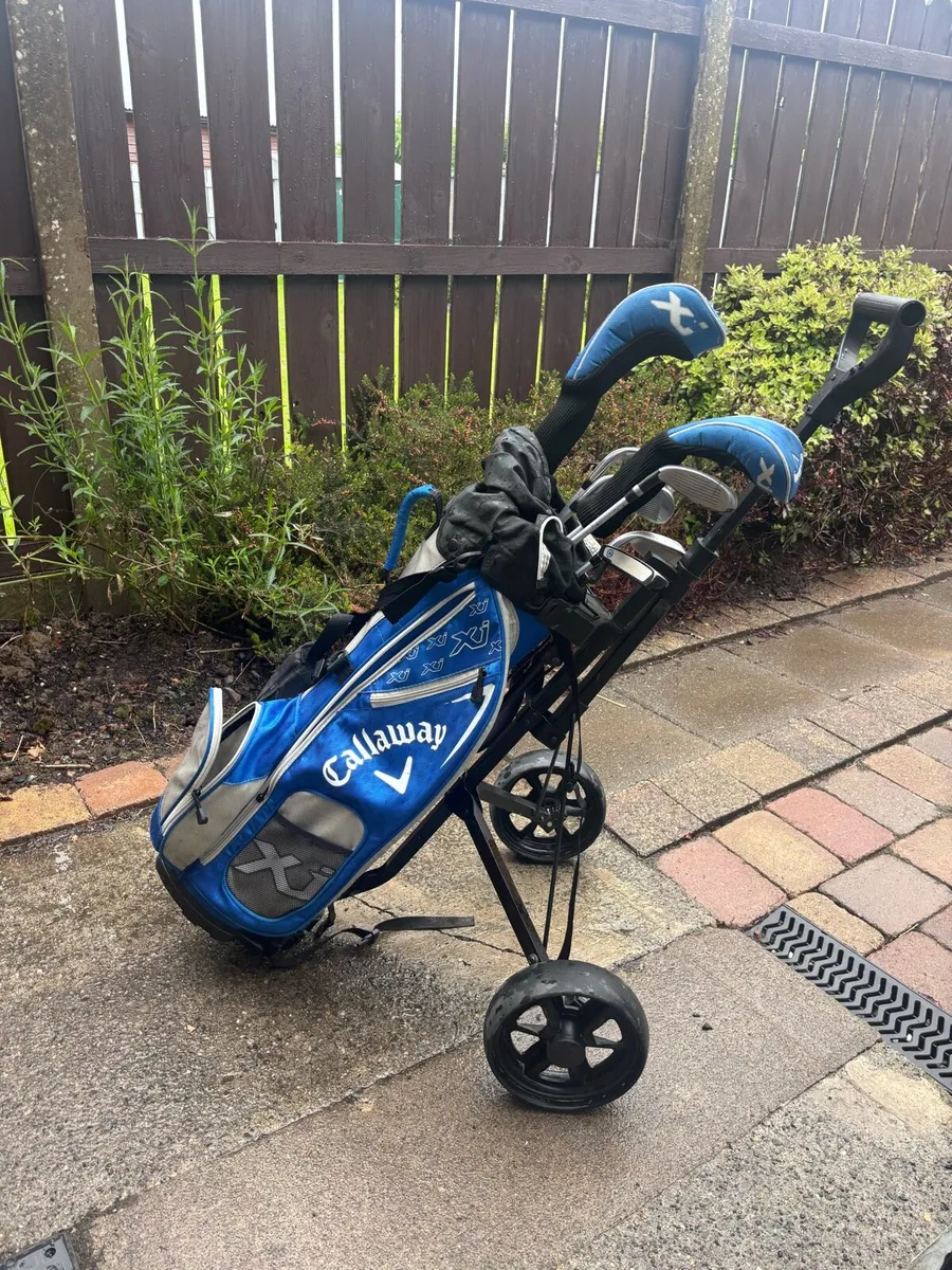Junior Golf Clubs - Image 4