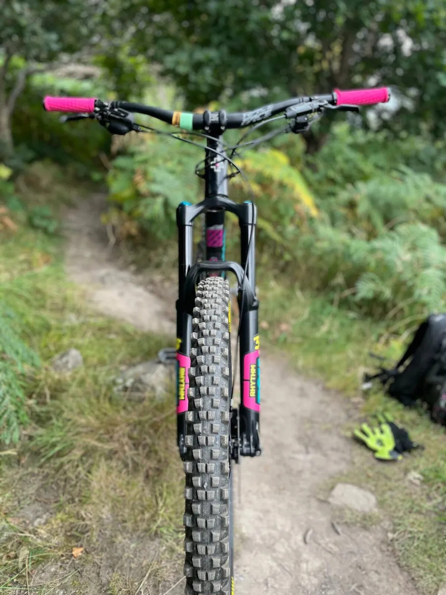 Canyon Strive - Image 2