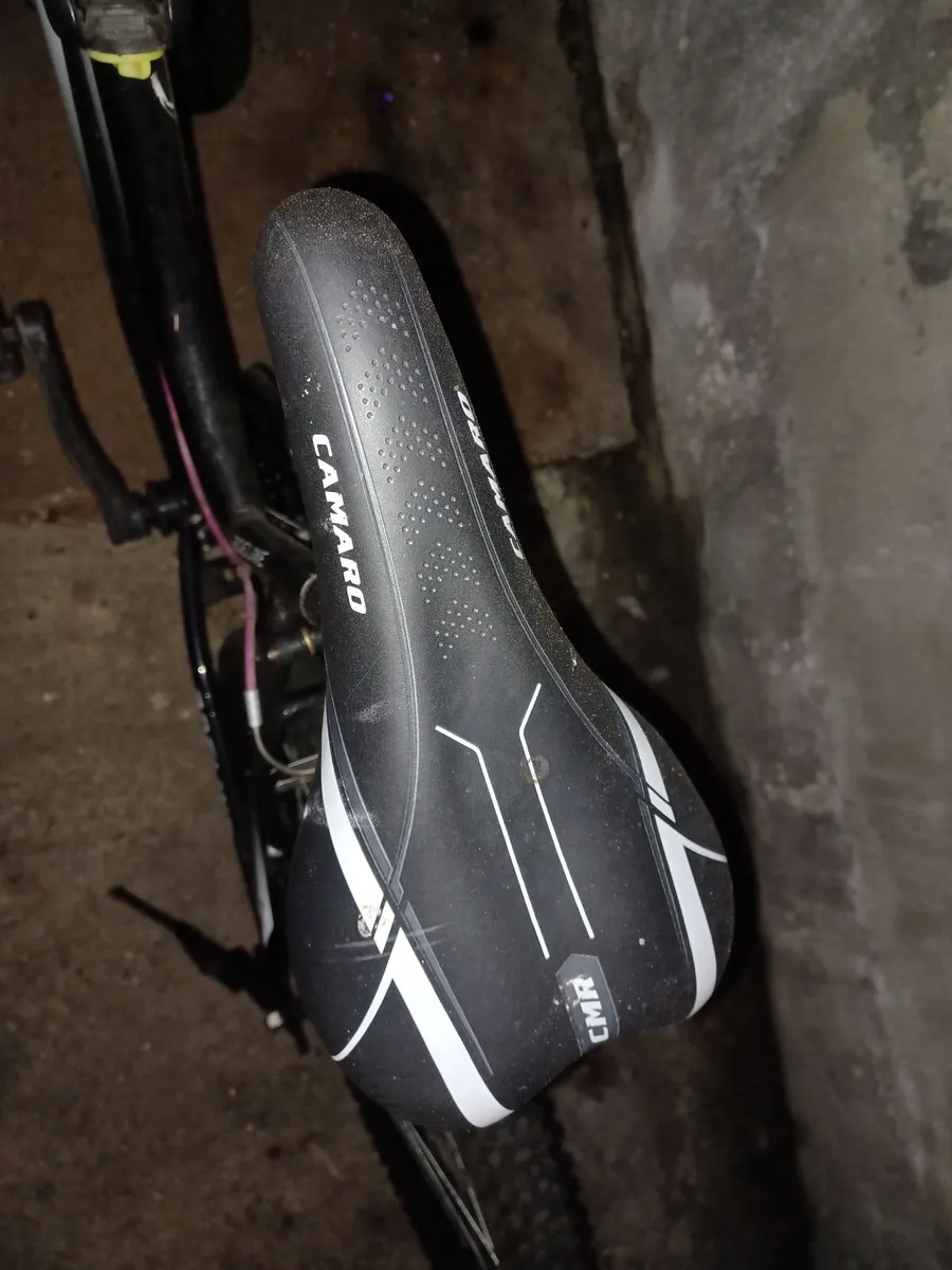 Bike - Image 2