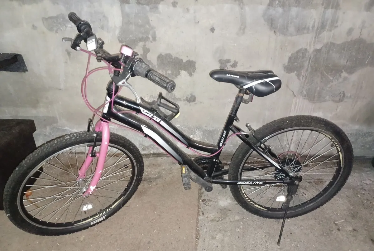 Bike - Image 1