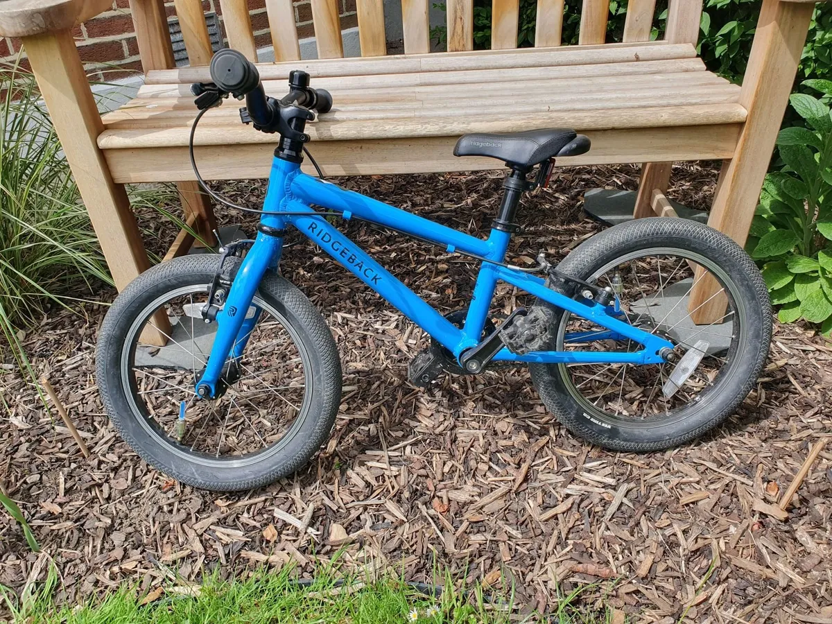 Ridgeback Dimension 16 ideal child's starter bike - Image 1