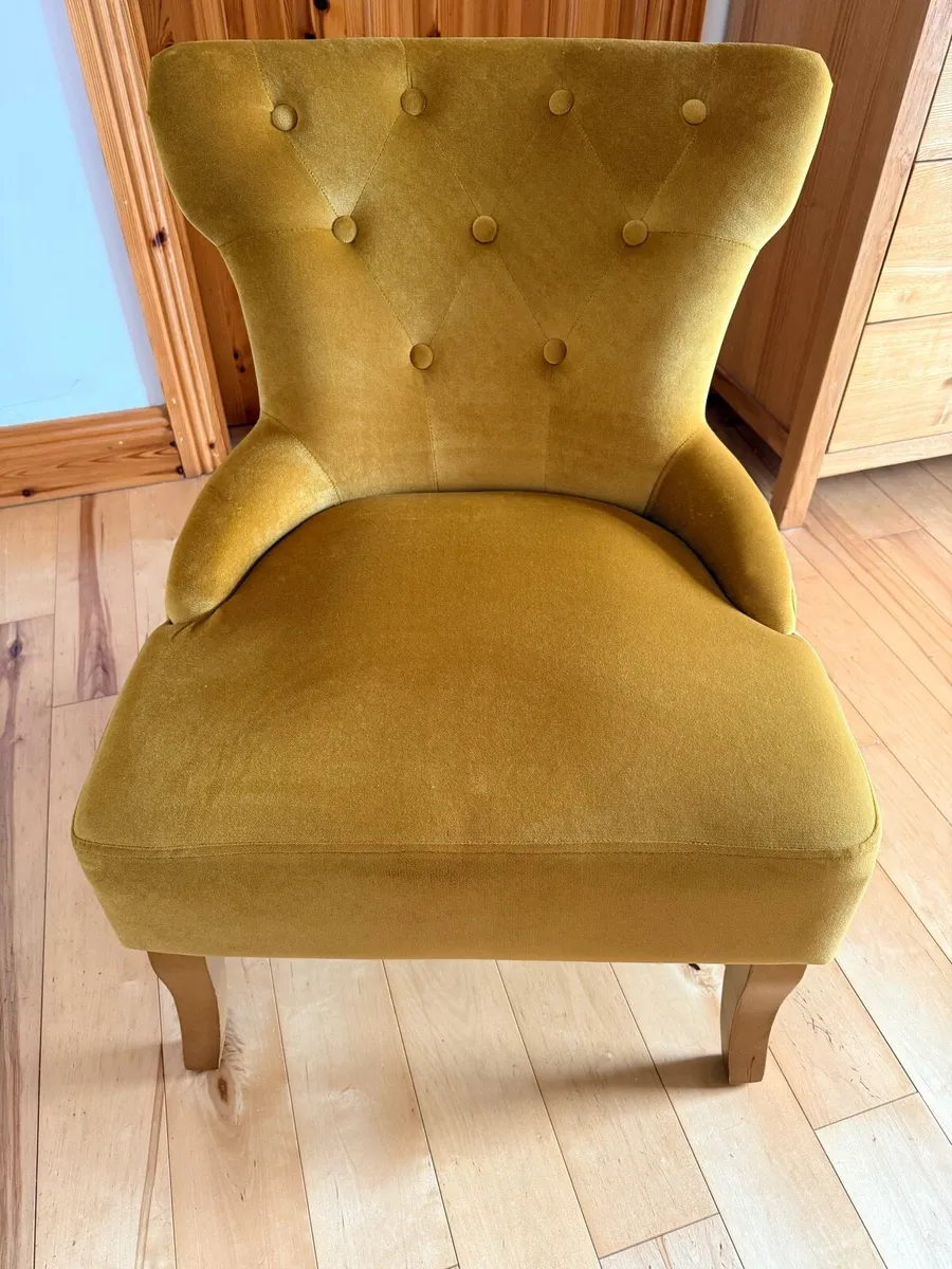 2 Arm chairs (can be sold together or separately) - Image 4