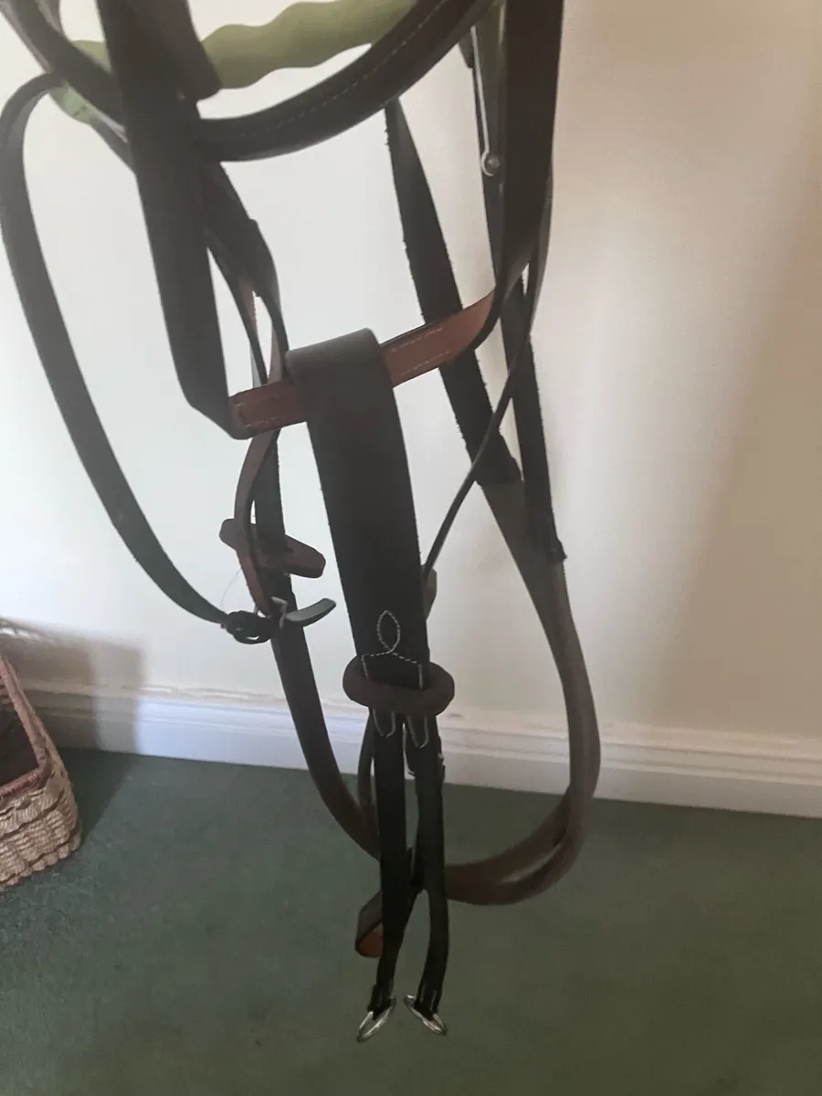 Berney’s full standard bridle and martingale - Image 2