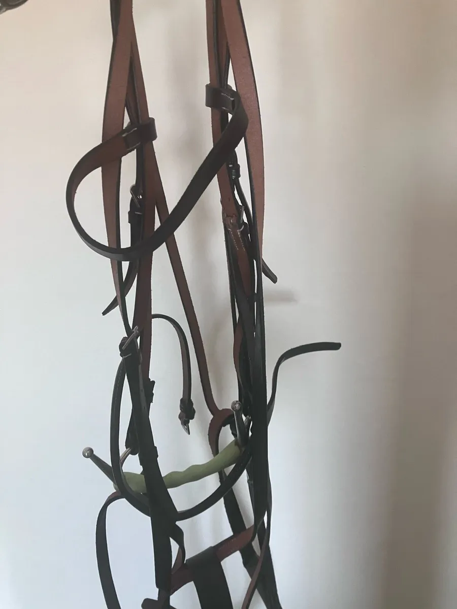 Berney’s full standard bridle and martingale - Image 3