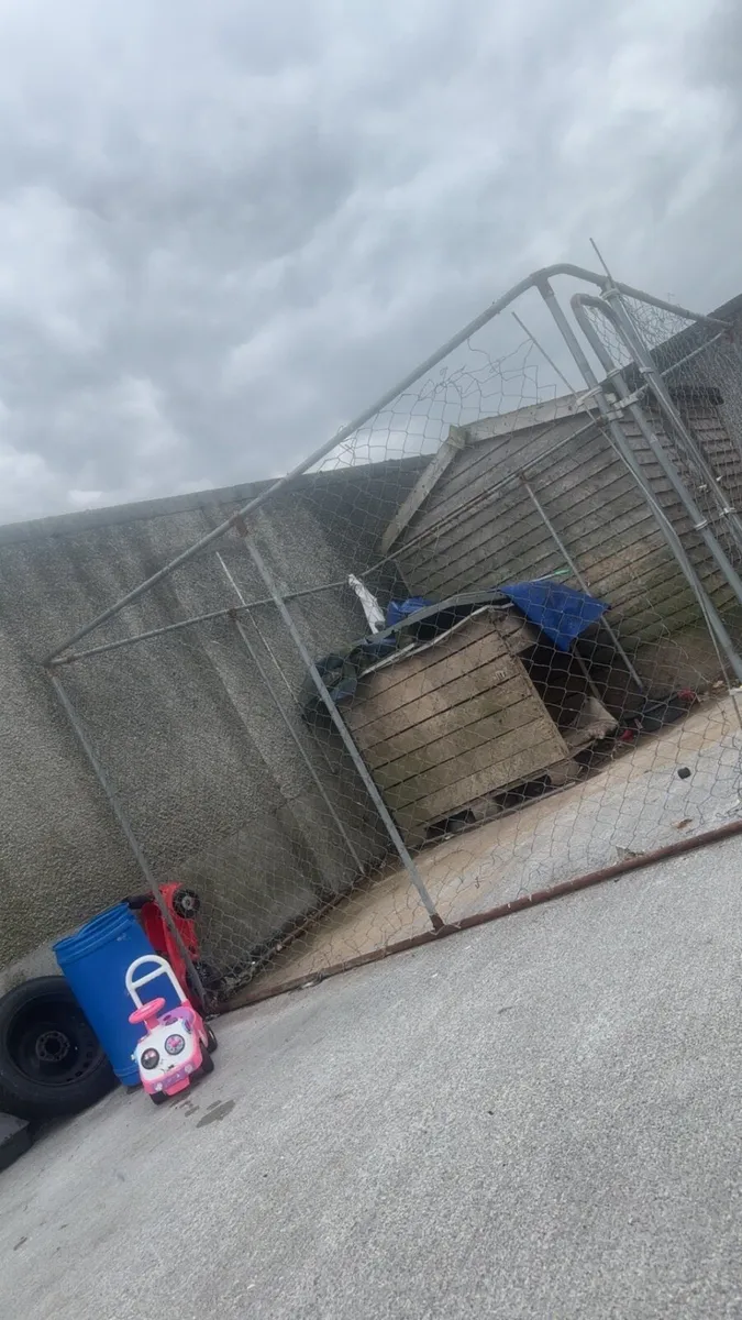 Dog pen - Image 1