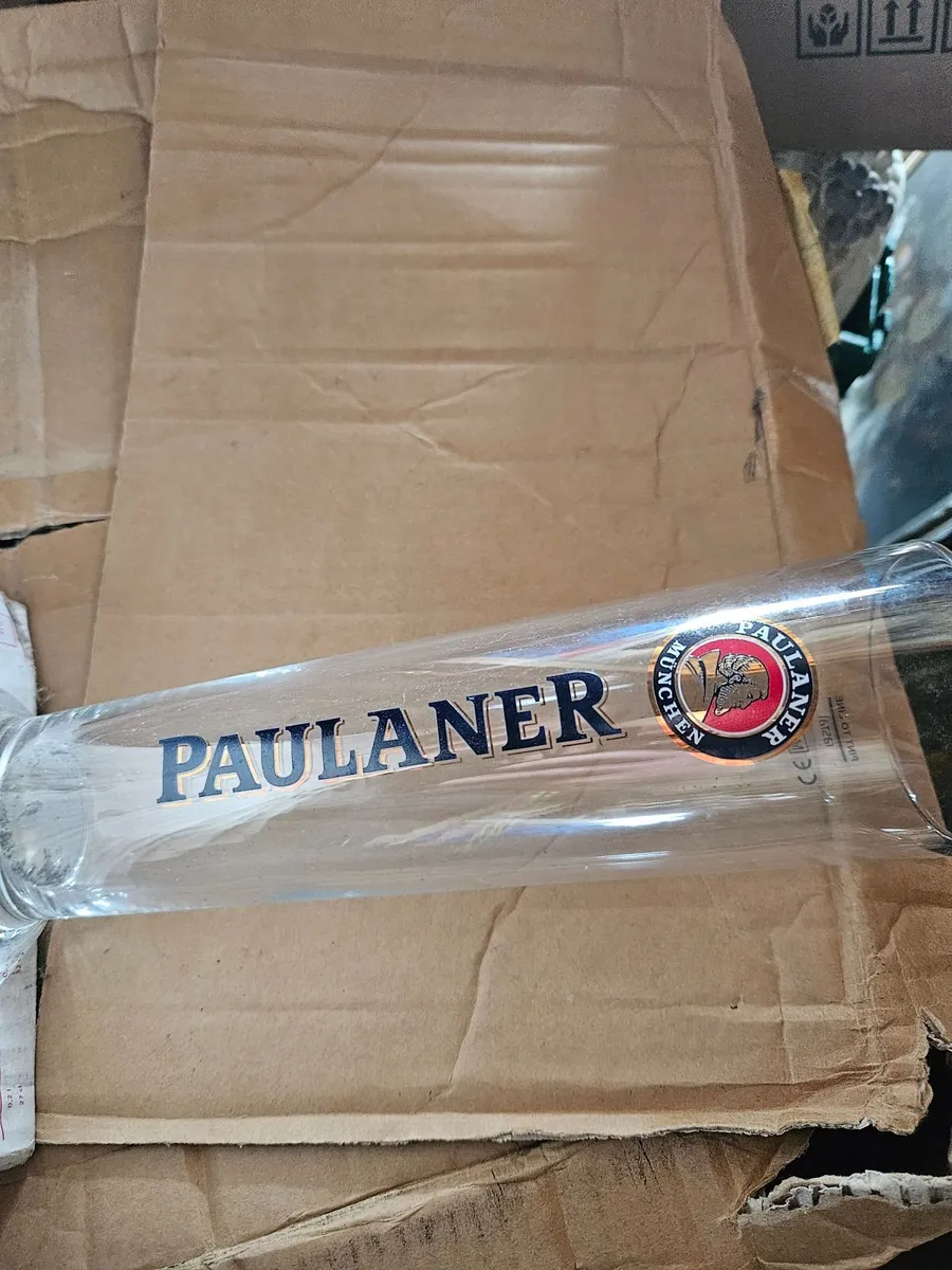 Paulaner Pub Pint Glasses - Image 3