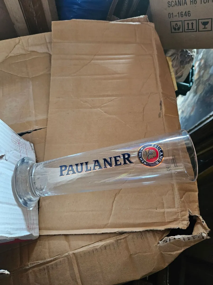 Paulaner Pub Pint Glasses - Image 1