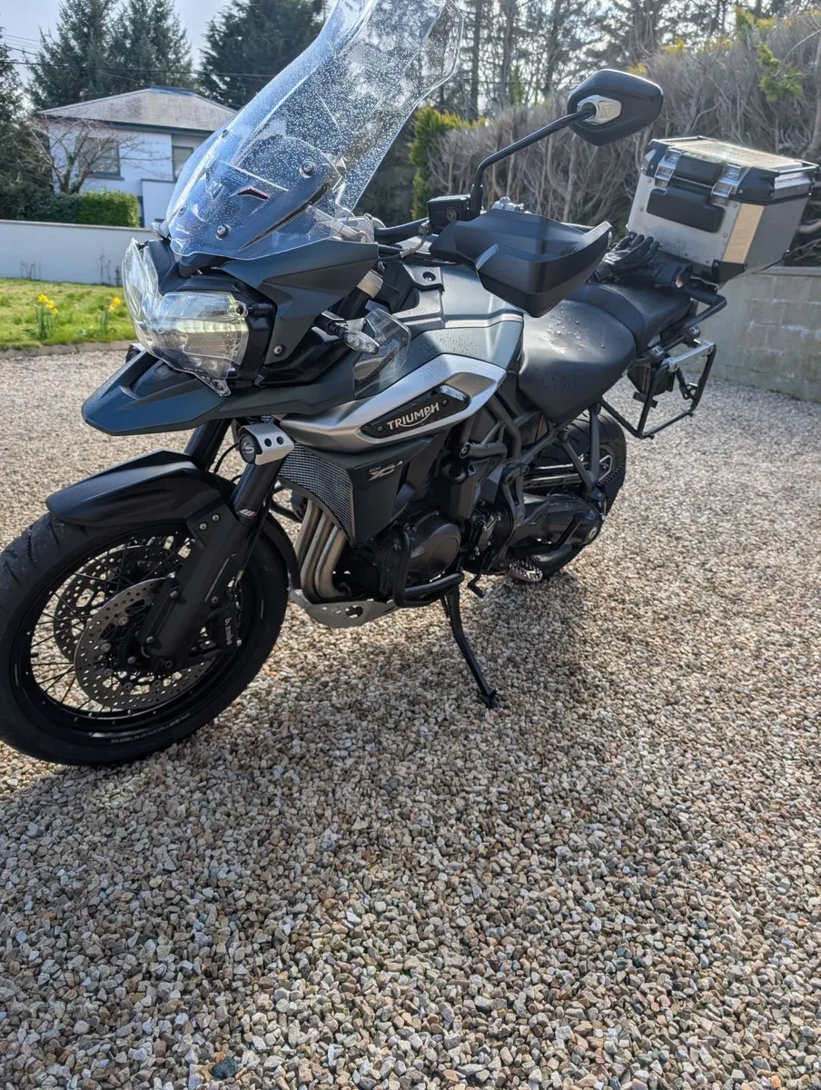 Triumph Other 2019 - Image 4
