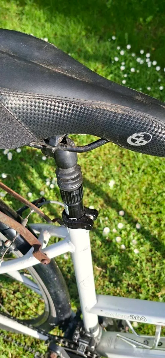 Ladies bicycle - Image 4