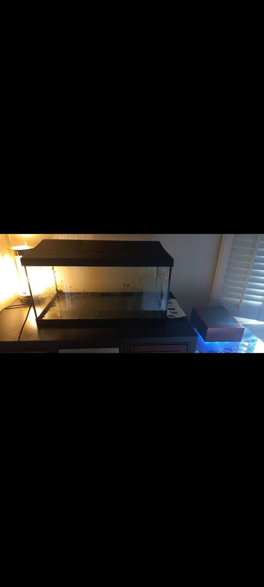 Aquel Fish Tank only  , 2 ft x 1 x 1 - Image 3