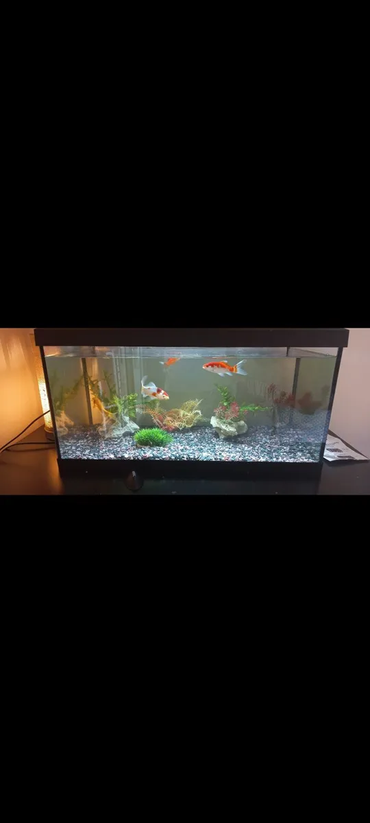 Aquel Fish Tank only  , 2 ft x 1 x 1 - Image 1
