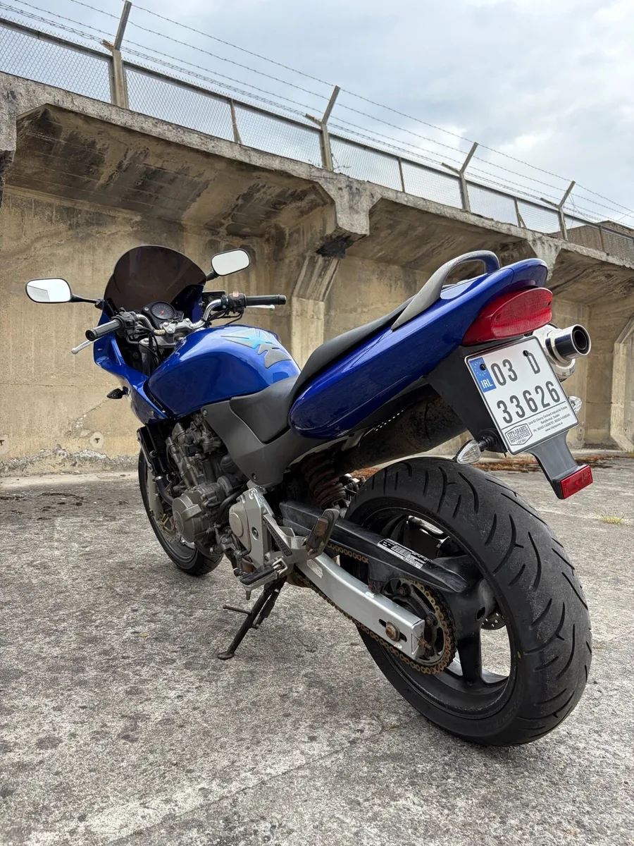 Honda Hornet 600 - Image 3