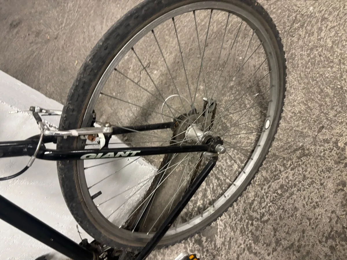 Giant bike - Image 4