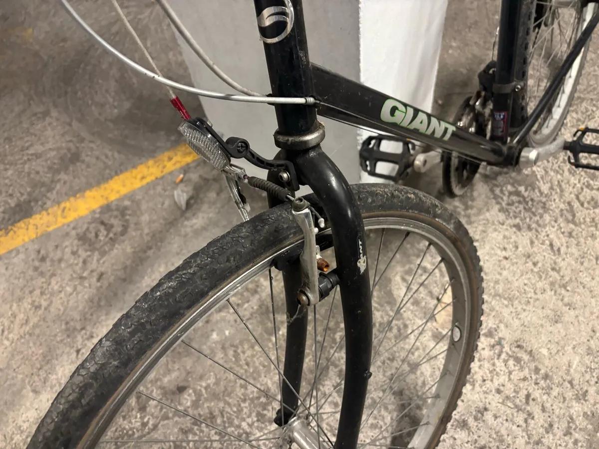Giant bike - Image 2
