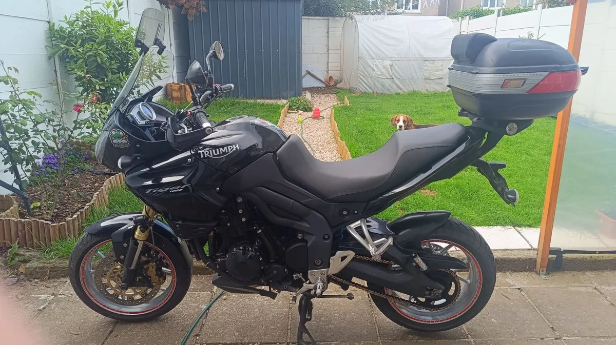 2010 Triumph Tiger 1050 - Image 3