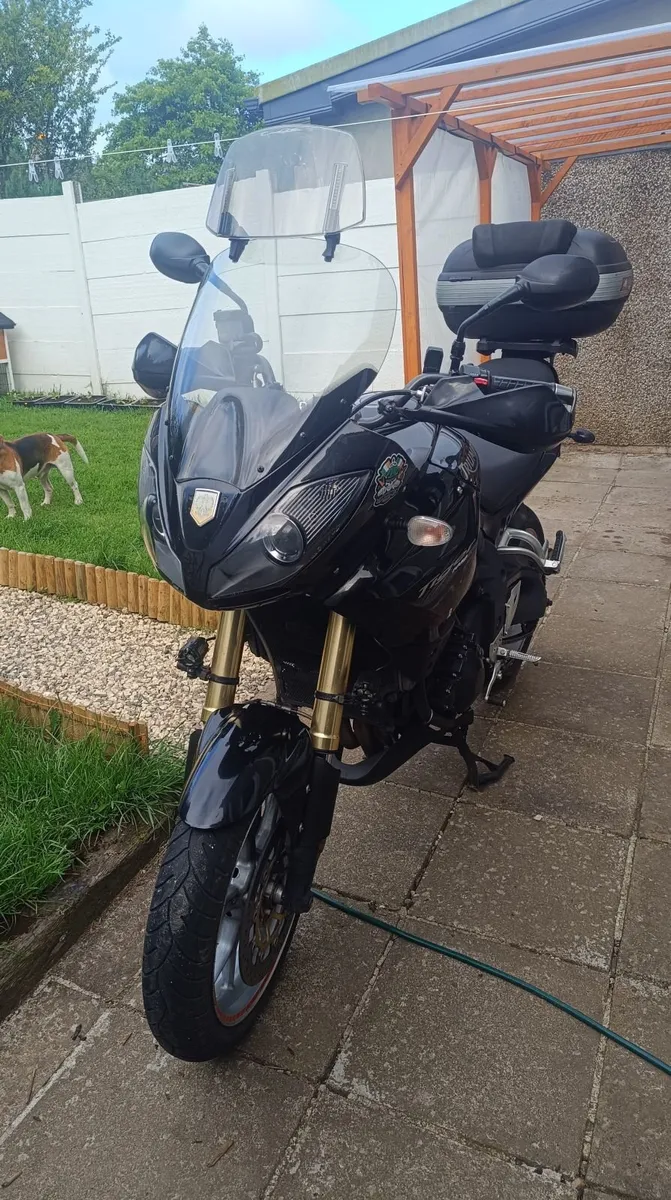 2010 Triumph Tiger 1050 - Image 1