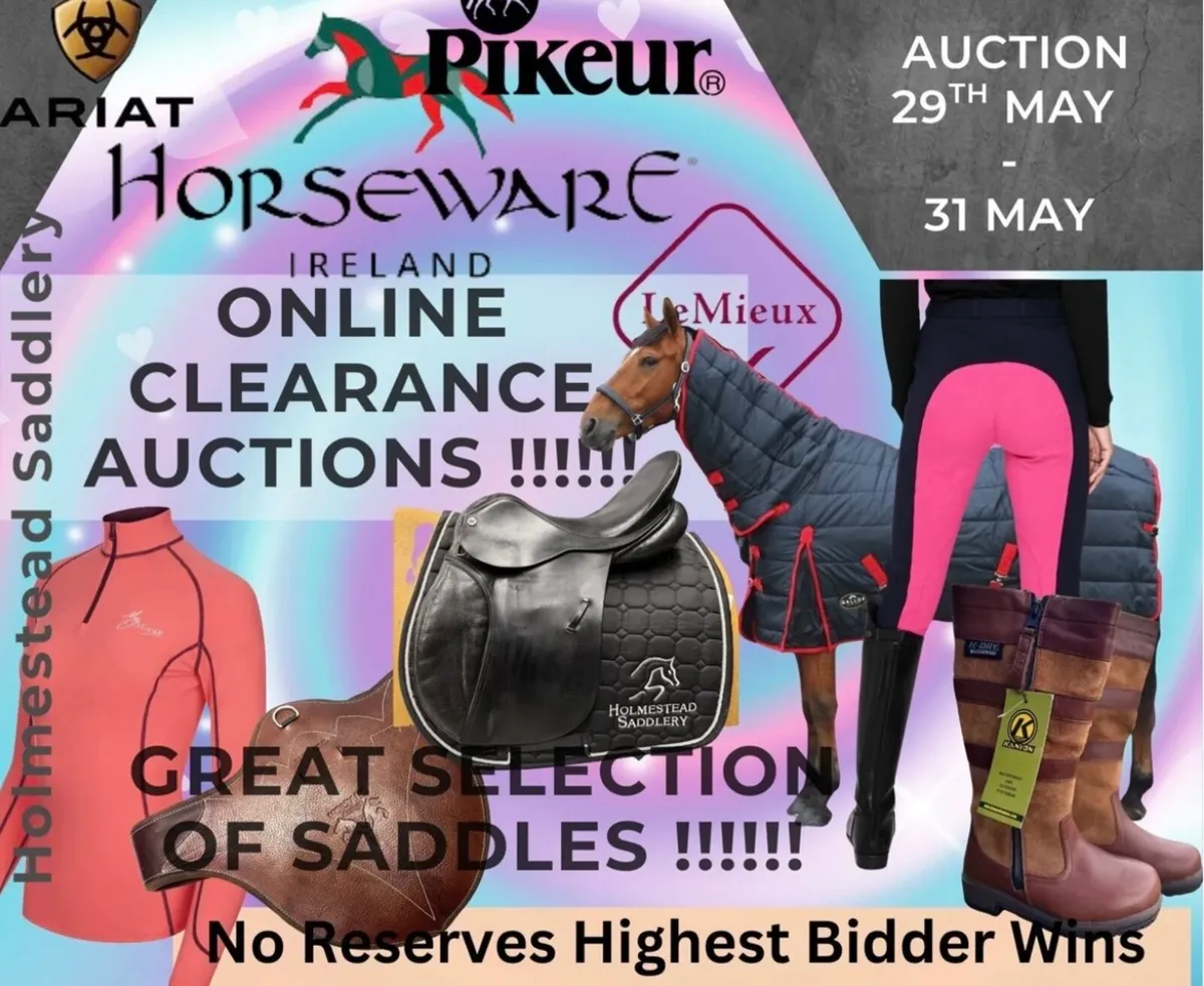 Online equestrian clearance Auction NOW