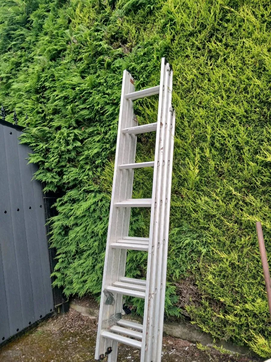 Extending ladder - Image 1
